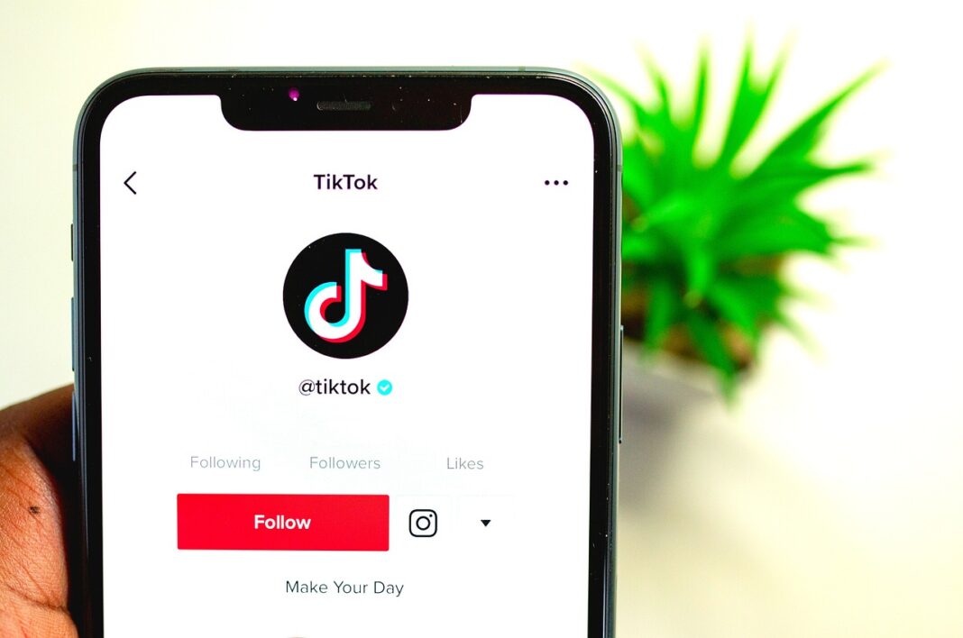 Mit TikTok kannst du deine Reichweite in echtes Geld verwandeln – starte jetzt!